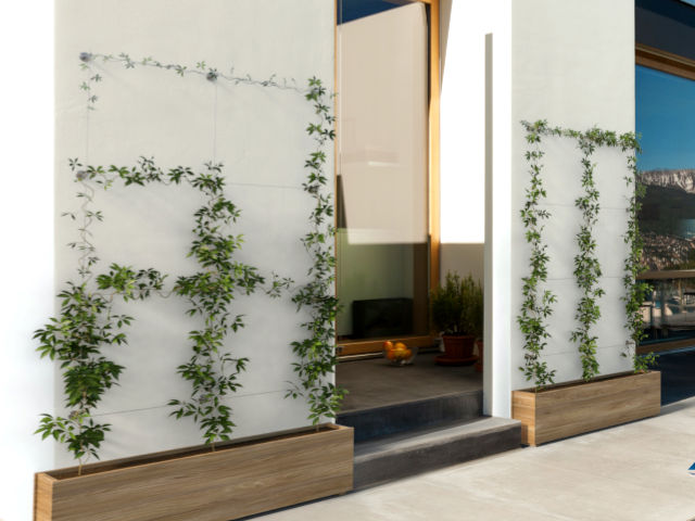 Green Wall Systems
