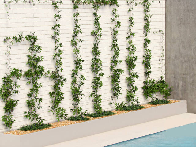 Green Wall Systems