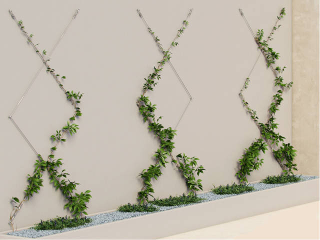 Green Wall Systems